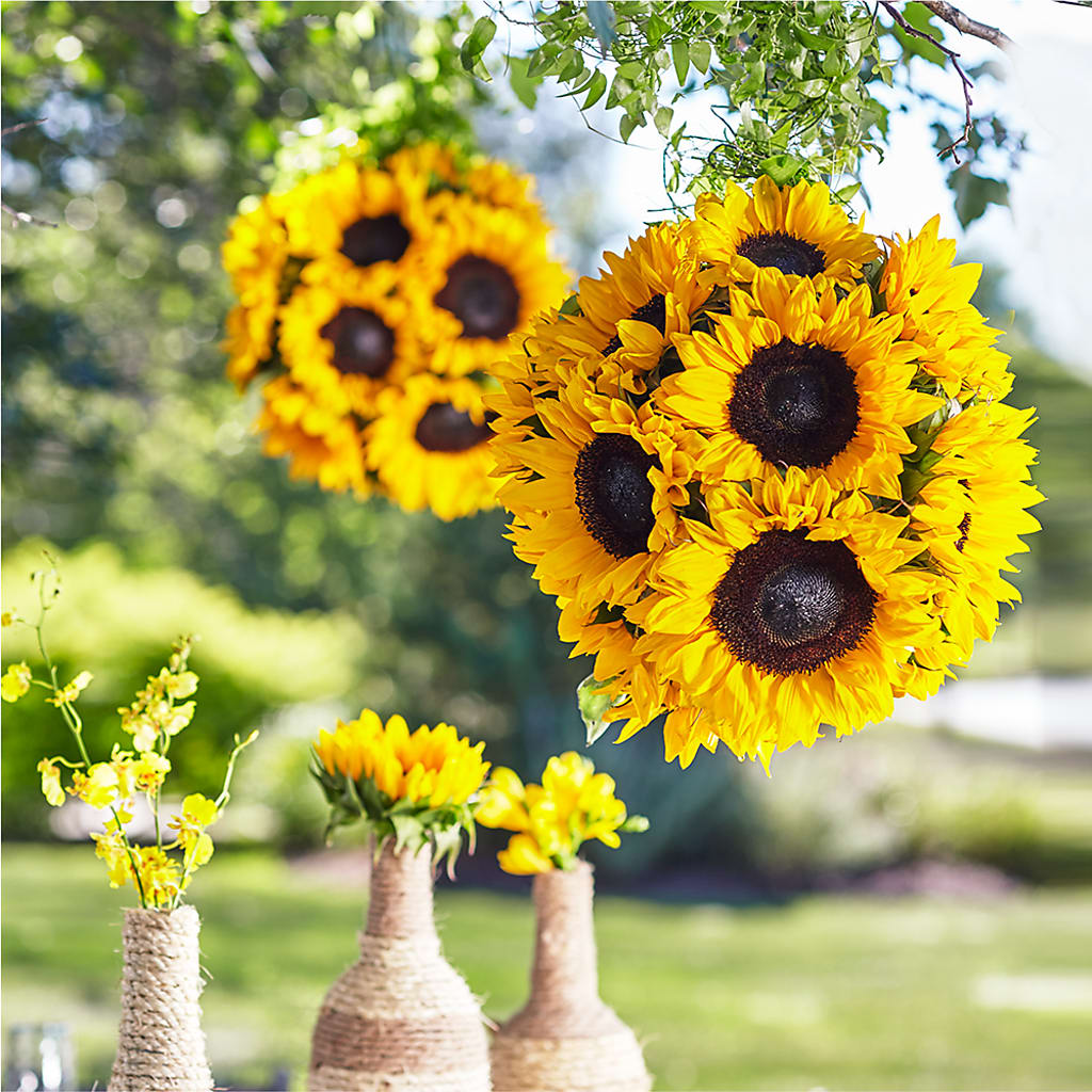 Sublime Garden Hanging Arrangement – Aaa Florists, San Bernardino CA