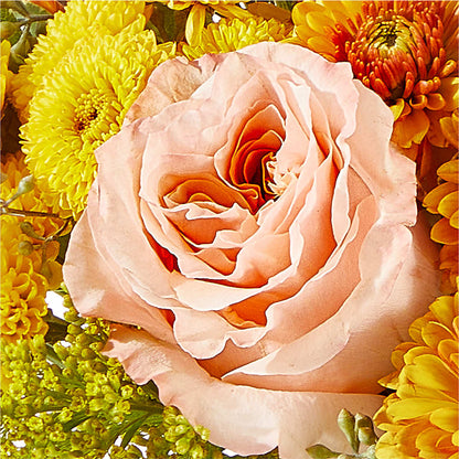 Peachy Pumpkin –  Aaa Florists, San Bernardino CA