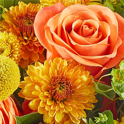 Gourdgeous Pumpkin –  Aaa Florists, San Bernardino CA