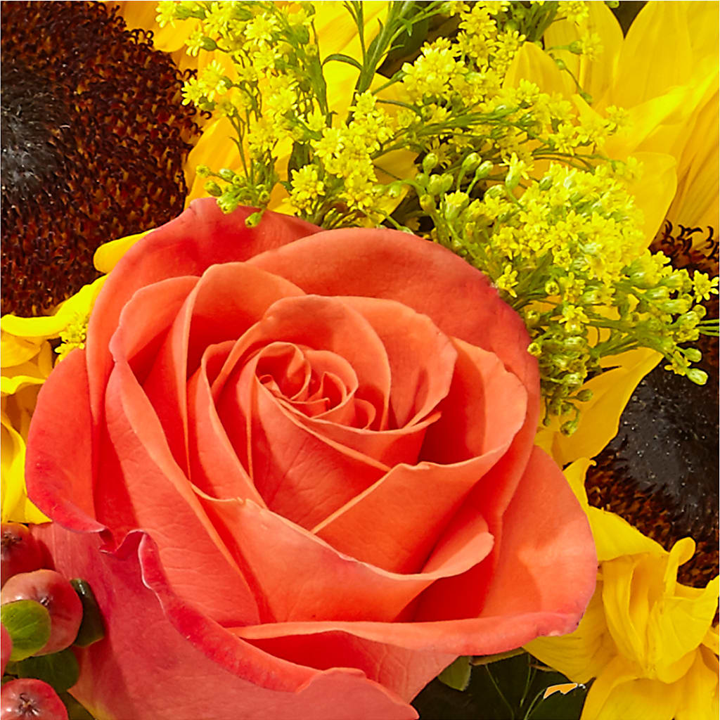 Pick of the Patch Pumpkin Bouquet –  Aaa Florists, San Bernardino CA