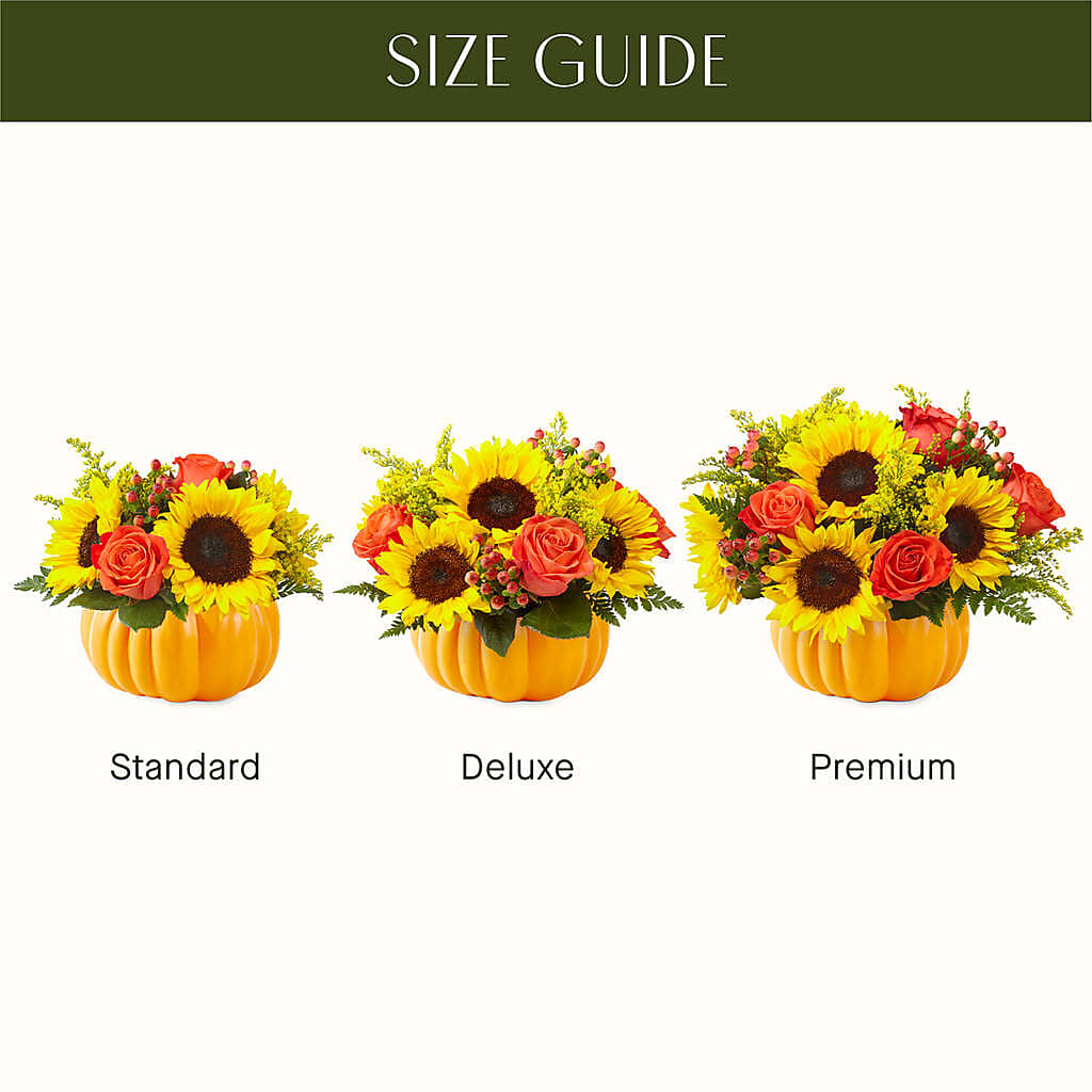 Pick of the Patch Pumpkin Bouquet –  Aaa Florists, San Bernardino CA