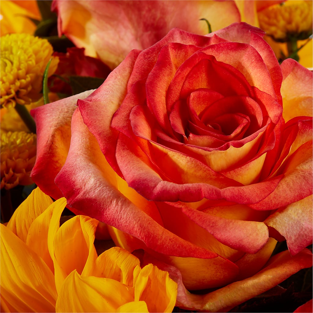 Picnic in the Park Bouquet –  Aaa Florists, San Bernardino CA