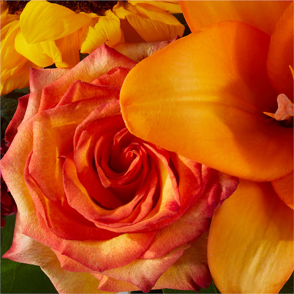 Grateful Centerpiece –  Aaa Florists, San Bernardino CA