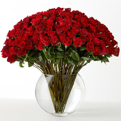 The Idealist –  Aaa Florists, San Bernardino CA